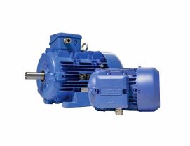 IE4 Premium Asenkron Motor